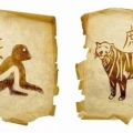 Совместимость тигр мужчина обезьяна